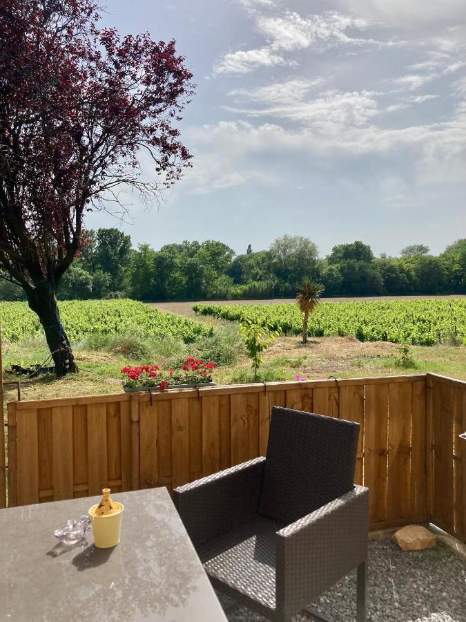 Lodging Gîte Au Milieu des Vignes&des Étoiles Saint-Jean-de-Fos Extérieur photo